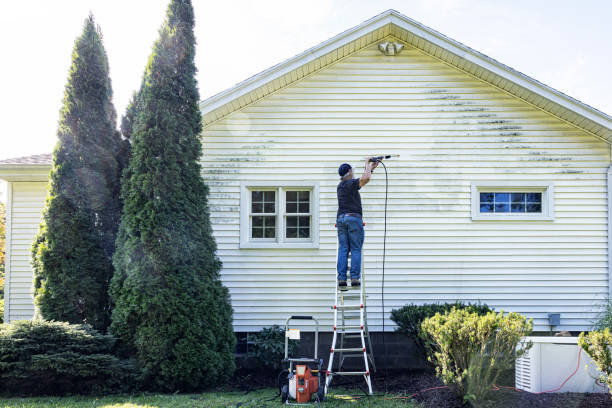 Best Roof Power Washing Services  in Niantic, CT