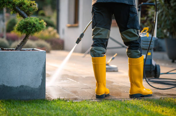 Best Roof Pressure Washing  in Niantic, CT